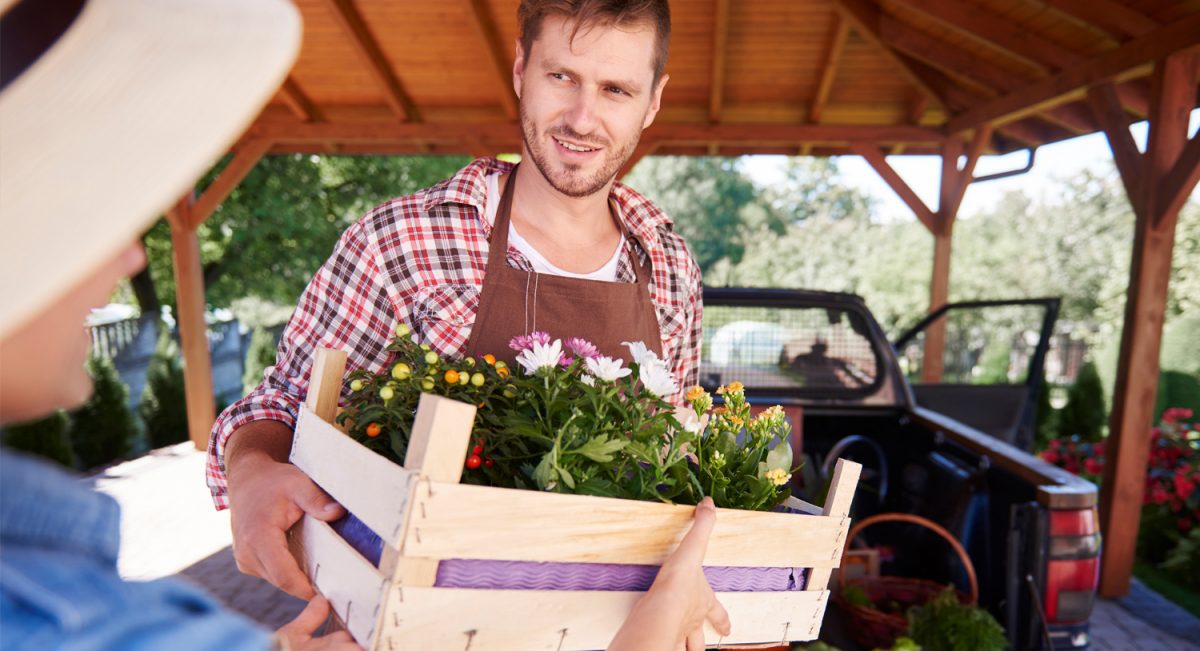 starting a small business in barrie